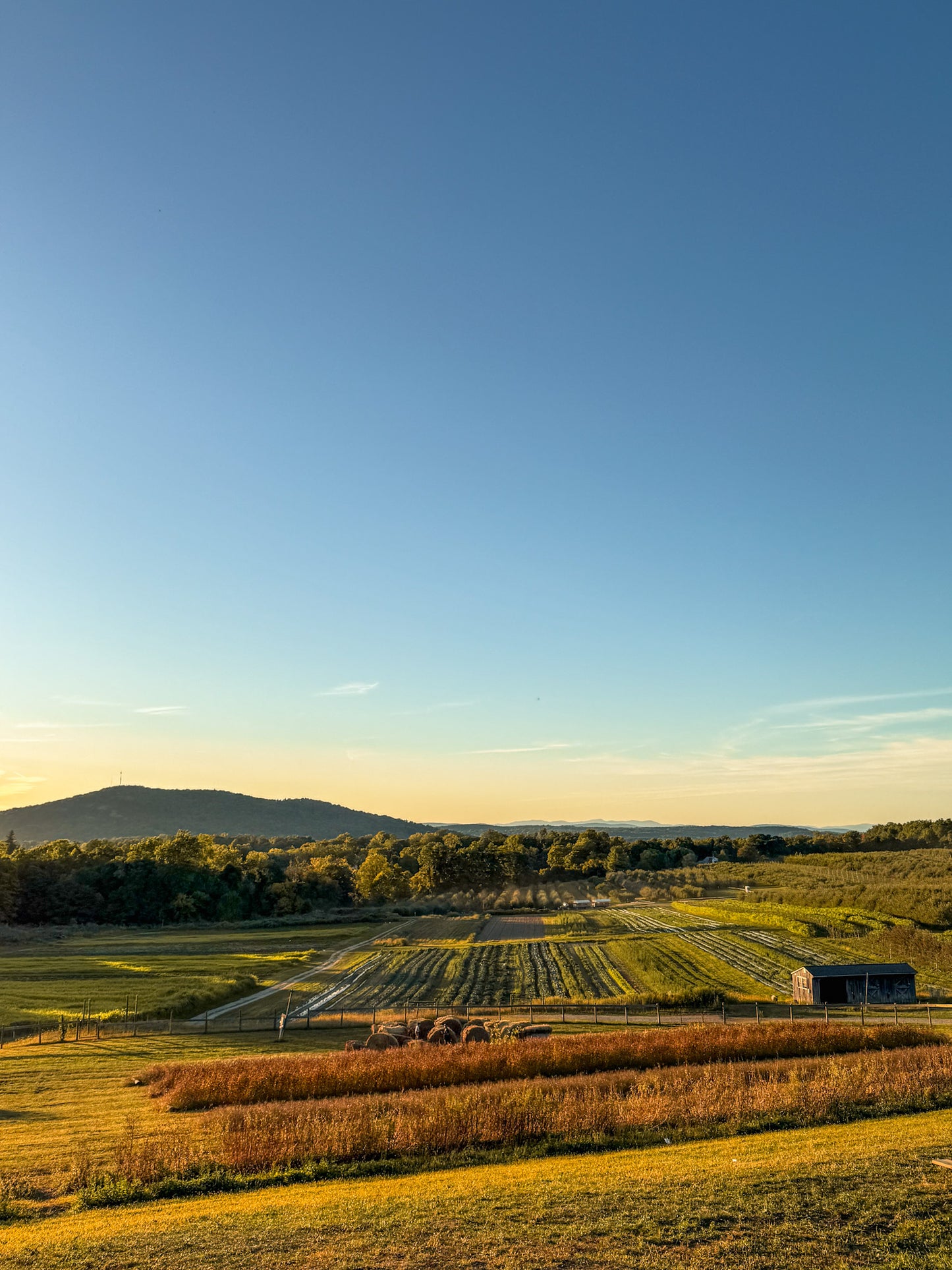 Fishkill Farms Charcuterie Board Workshop (Thursday, September 24th 5:30 - 7 PM)